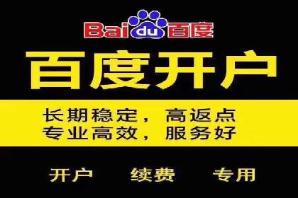 百度竞价运营实战案例分析：提升ROI策略